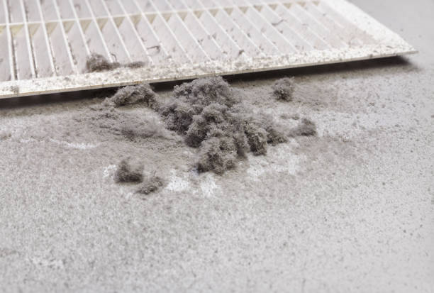 Best Affordable HVAC Duct Cleaning  in Mccamey, TX