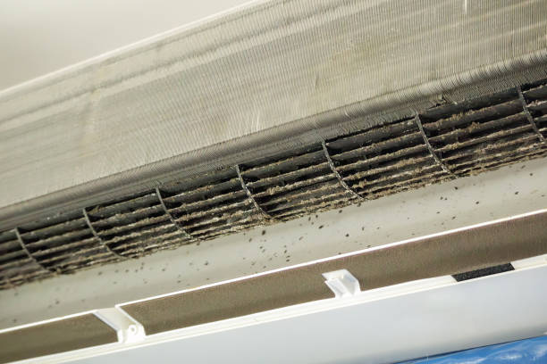 Best HVAC System Cleaning  in Mccamey, TX